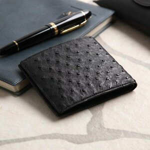 I[Xgb` z Y ܂ {v y  RpNg ܂z  El { Y av a o[Xf[ ̓ v[g St Ry  v nhCh {