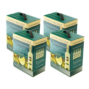 T^W[i Vhl 3000ml 4{ C h ` {bNXC C C{g16{ 񂹕i 