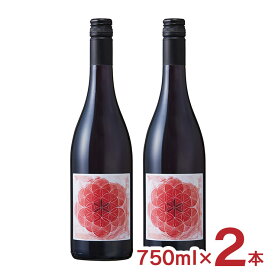 イタリア イタリアワイン マルコ・モスコーニ コルヴィーナ ロッソ 2022 750ml 2本 送料無料