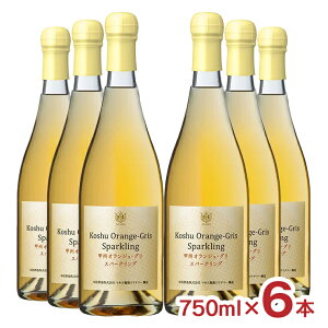 y11/4 20:00`11/11 1:59 Gg[P5{zC bB IWEOXp[NO 750ml 6{ {V Xp[NOC RY YC