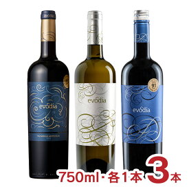 ワインセット スペイン エヴォディア 3種 飲み比べセット 赤白 赤ワイン 白ワイン 750ml 各1本 3本 ミディアム 辛口 送料無料