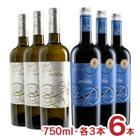 ワインセット スペイン エヴォディア 赤白 セット 750ml 各3本 6本 赤ワイン 白ワイン ミディアム 辛口 送料無料