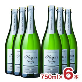 スパークリングワイン 日本ワイン 甘口 スパークリング ナイアガラ 750ml 6本 朝日町ワイン 送料無料