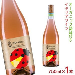 y12/4 20:00`12/11 1:59 Gg[P5{zC I[KjbN C^A ZuEhbc smEO[WIGP 1{ 750ml ĂƂ I[KjbNF h Mtg {ޔ̔ 