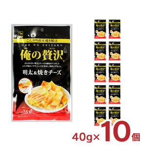 ܂ q `[Y JHi ґ Ă`[Y 40g 10 J C  َq ܂ 