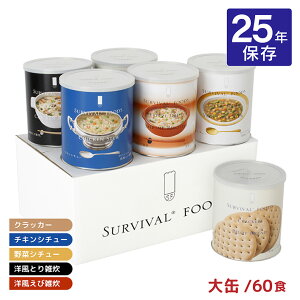 H Zbg 25N NbJ[ V`[ G ToCot[Y  oGeBEtZbg 60H ~ h ۑH ۑ  񂹕i