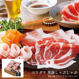  Ԃ Mtg R_ Y ؂Ԃ (t@~[Zbg) Yn  KS-48