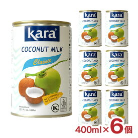 ココナッツミルク KARA カラ ココナッツミルク EO缶 400ml 6個 インドネシア ココナツミルク 缶切り不要 送料無料