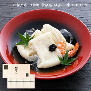 艄f K۔T Ђ˕ i 50g 66 SD-100N ߂ ڂ̂ cX Mtg  Yn