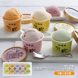 アイス 乳蔵 北海道 アイスクリーム 5種10個 産地直送 江戸屋 送料無料 ギフト 中元 歳暮 冷凍