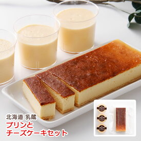 チーズケーキ プリン 北海道 プリンとチーズケーキセット「実」 乳蔵 産地直送 江戸屋 送料無料 ギフト 中元 歳暮 冷凍