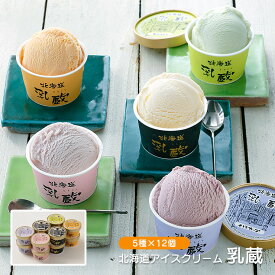 アイス 乳蔵 北海道 アイスクリーム 5種12個 産地直送 江戸屋 送料無料 ギフト 中元 歳暮 冷凍