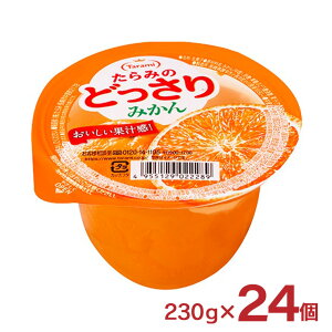 y9/19 20:00`9/24 1:59 Gg[P3{z [[ ݂̂ǂ ݂ 230g 24 Jbv[[ t[c[[ ʎ 