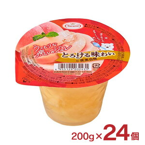  [[ Ƃ낯閡킢 J  200g 24 Jbv[[ t[c[[ t[cW 点Ă 