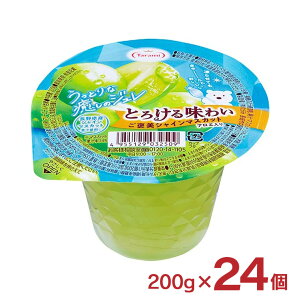  [[ Ƃ낯閡킢 JVC}XJbg 200g 24 Jbv[[ t[c[[ t[cW 点Ă 