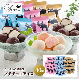 猫の日 2026 イーペルの猫祭り プチチョコアイス 40個 AH-EPS ねこ ネコ ギフト 冷凍 産地直送 送料無料