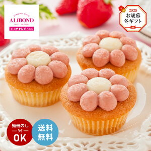 ~Mtg Ε 2025 Z{؃A}h ܂䕂̃t[P[L 8 YJ-AF P[L XC[c ~G Yn 