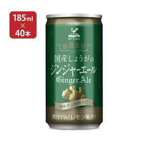 富永貿易 神戸居留地 国産生姜ジンジャーエール 缶 185ml 40本 (20本入 2ケース) 送料無料