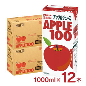 【4/24 20:00～4/27 9:59店舗内3倍P】果汁100 飲料 アップル100 1000ml 12本 マルサンアイ 送料無料