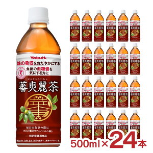 O@o בu풃 500ml 24{  Ng ΂񂻂ꂢ  یpHi |tFm[ l