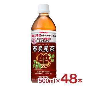 O@o בu풃 500ml 48{  Ng ΂񂻂ꂢ  یpHi |tFm[ l