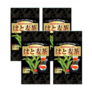 ̊ۍK Y͂Ɣ 24P 4 eB[obO o Ϗo ngM  񂹕i