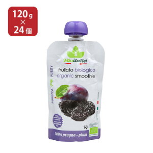 eBX I[KjbN C^AX[W[ v 120g 24{ X[W[ L@  񂹕i