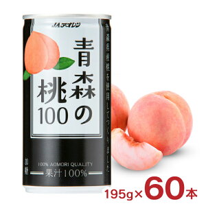 JAAI X̓100 195g 60{   ʏ`100 W[X  AI  X