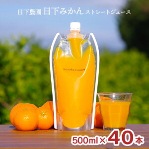 y11/20 20:00`11/27 1:59 Gg[P5{zIW W[X _ ݂ Xg[gW[X pE` 500ml 40{ 1P[X É B݂100 