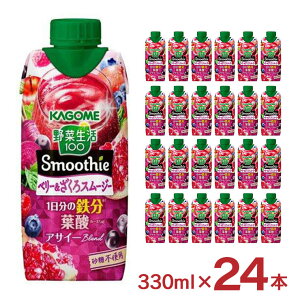 JS X[W[ ؐ  ؐ100 Smoothie x[Mix 330ml 24{ e N t[c 