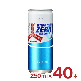 炭酸飲料 三ツ矢サイダー ZERO 250ml 40本 2ケース アサヒ飲料 糖質0 カロリー0 送料無料