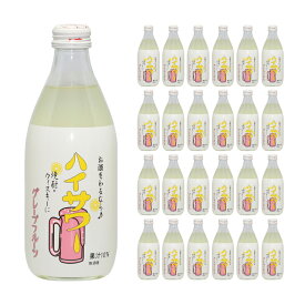 博水社 ホーム ハイサワー グレープフルーツ 360ml 24本 清涼飲料水 炭酸飲料 割り材 取り寄せ品 送料無料