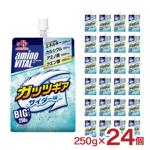 [[ A~moC^ KbcMA TC_[ [[hN 250g 24 BIGTCY  ̑f h{[[