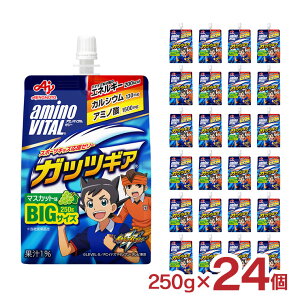 [[ A~moC^ KbcMA }XJbg [[hN 250g 24 BIGTCY  ̑f h{[[