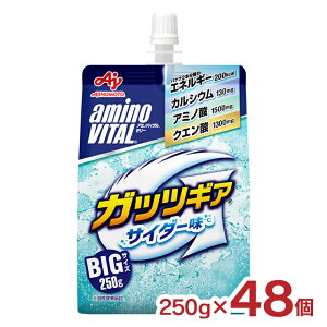 y12/4 20:00`12/11 1:59 Gg[P5{z[[ A~moC^ KbcMA TC_[ [[hN 250g 48 BIGTCY  ̑f h{[[