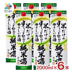 {   Ă[Ƃ₳ăpbN 2000ml 6{ P[X   ӎ e 