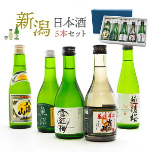 hV̓ 2025 {  ݔ V{5{Zbg 300ml e CR z gT  g~ Mtg v[g  l 