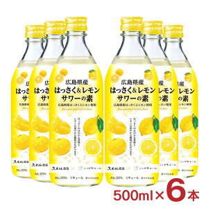 T[̑f jb|G[ vĐ LY͂T[̑f 500ml 6{ T[ f L ͂  E vĐ JAS_ {ޔ̔ 