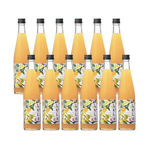  ݂̂ 10x 500ml 12{ ݂ ʎ 񂹕i 