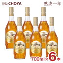 梅酒 ザ・チョーヤ 熟成1年 700ml 6本 瓶 15度 The CHOYA チョーヤ リキュール 紀州南高梅100％ 送料無料