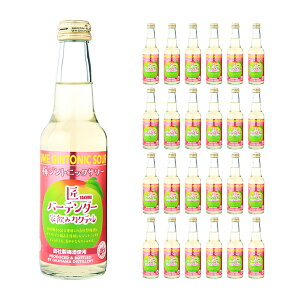 Ntg JNe o[e_[ ~WgjbNT[ 250ml 24{  { 񂹕i