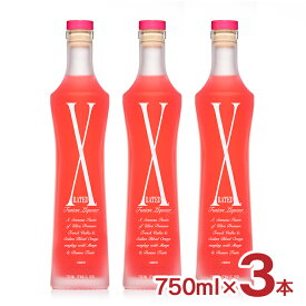 リキュール エックス レイテッド イタリア 750ml 3本 X RATED 17度 ピンク CTスピリッツ 送料無料