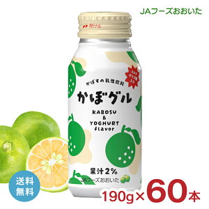  J{X JAt[Y ڃO 190g 60{ 2P[X {g  J{X ~NIS 啪 