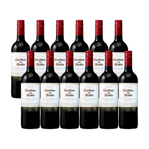 V JbVFEfEfBAu JxlE\[Bj P[X 750ml 12{ (1P[X) 񂹕i 