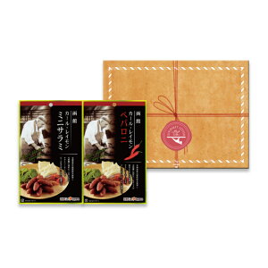 1000~|bL T~ ypj Mtg 蕨 O^[ J[ECT~Zbg GL-A Yn  {n