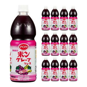 O[vW[X 800ml 12{ T[ | POM  񂹕i