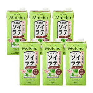  ӂ Y哤 \Ce  1000ml 6{ 1P[X  񂹕i