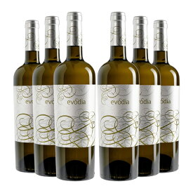 エヴォディア 白 750ml 6本 スペイン 辛口 白ワイン マカベオ100% 送料無料 取り寄せ品