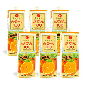 y11/4 20:00`11/11 1:59 Gg[P5{zt[cW[X ݂100 1000ml 6{ 1P[X ݂ W[X pbN W[V[ F{ʎ_Ƌg  񂹕i