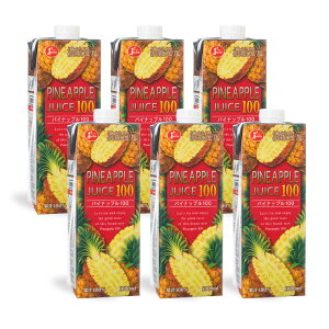 y11/4 20:00`11/11 1:59 Gg[P5{zt[cW[X pCibv100 1000ml 6{ (1P[X) pbN W[V[ F{ʎ_Ƌg  񂹕i